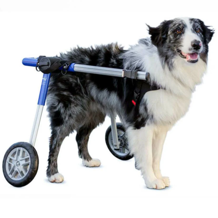 Dog Wheelchair For Back Legs